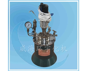 3L Laboratory Reactor with PTFE