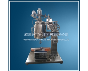 5L Lifting Reactor with Quick Open Device